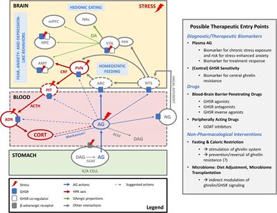 The Good, the Bad and the Unknown Aspects of Ghrelin in Stress Coping and Stress-Related Psychiatric Disorders